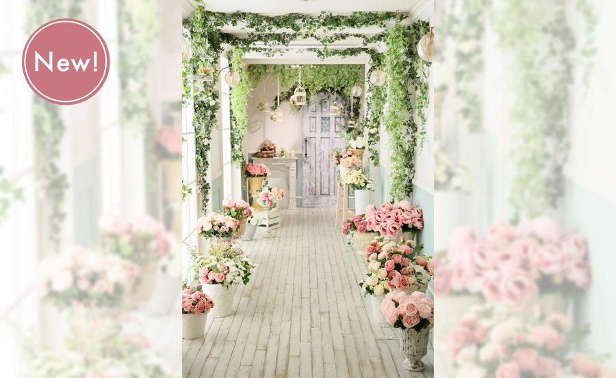 らかんスタジオNY店