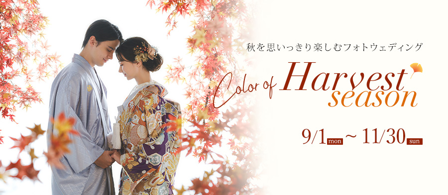 harvest-season