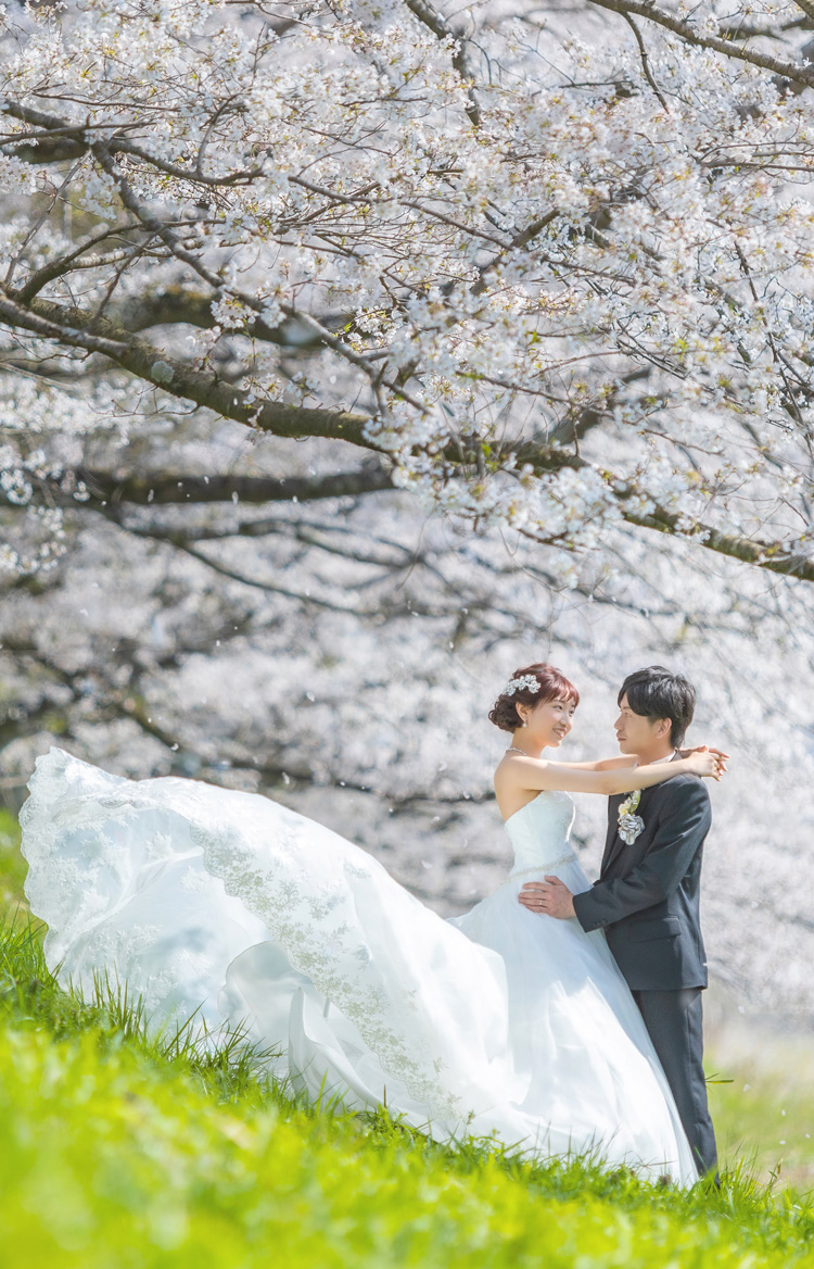 那須ロケーション撮影のイメージ